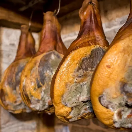 Stanica Szálloda Ravno